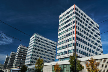 Wall Mural - Street with modern office buildings in Poznan.