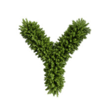 Christmas Tree Letter Y