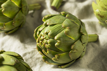 Canvas Print - Raw Organic Green Artichokes