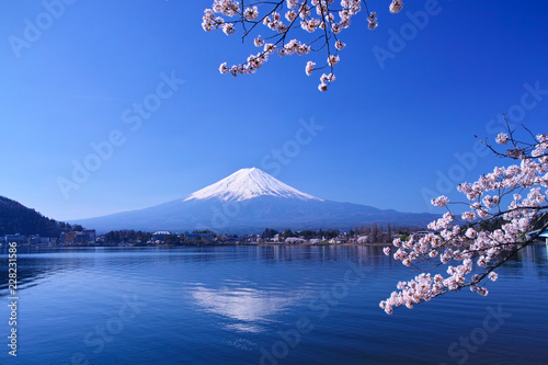 Plakat Fudżi  kwiaty-wisni-w-pelnym-rozkwicie-i-gora-fudzi-widziana-z-ubuyagasaki-na-polnocnym-brzegu-jeziora-kawaguchiko