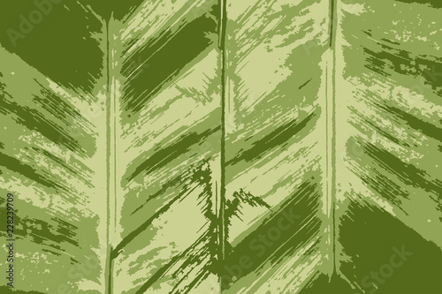 Background With Bamboo A Lush Green Leaves Top View Element 3
