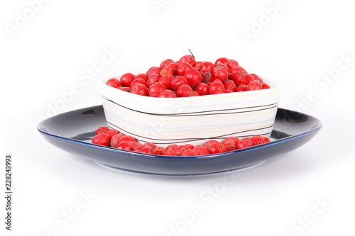 Fotografie, Obraz Still life with red natural rowan on a white background