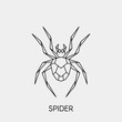 Geometric spider. Polygonal linear abstract insect. Vector illustration.