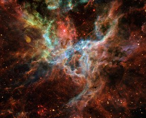 Wall Mural - space nebula. cosmic cluster of stars. outer space landscape. celestial map. galaxy stars background
