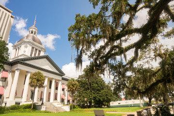 Wall Mural - Security Barriers Protect The State Capital Building in Tallahassee Florida