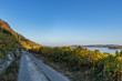 Pilgerweg entlang eines herbstlich gefärbten Weinbergs mit Sicht auf den See – Pilgerweg/Jakobsweg von Ligerz nach La Neuveville - Herbst in der Schweiz am Bielersee