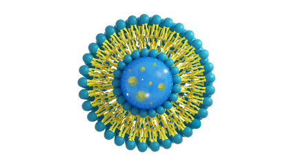 Liposome structure cell 3D rendering