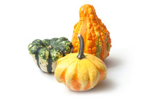 Closeup Of Colorful Gourds For Halloween Decoration On White Background