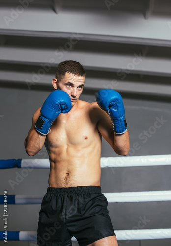 Εκτύπωση καμβά Male boxer fighting in gloves in boxing ring