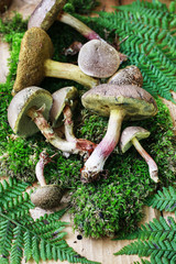 Canvas Print - Baskets with mushrooms