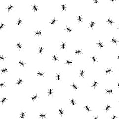 Wall Mural - Ant seamless pattern. Black and white vector seamless pattern with ants. Animal background.
