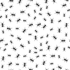 Wall Mural - Ant seamless pattern. Black and white vector seamless pattern with ants. Animal background.