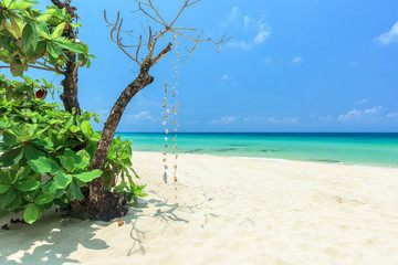 Wall Mural - Beautiful beach and tropical sea