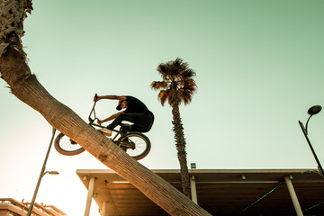 Wall Mural - Young man with a bmx bike around the city. BMX freestyle