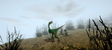 Extremely Detailed And Realistic High Resolution 3d Illustration Of A Compsognathus Dinosaur In The Forest.