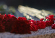 red carnation flowers on grave