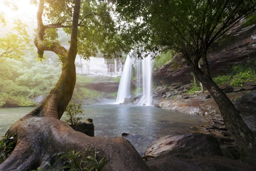 Canvas Print - Beautiful waterfall in rain forest