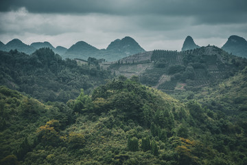 Wall Mural - yangshuo landscape