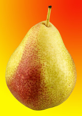 Wall Mural - SINGLE PEAR