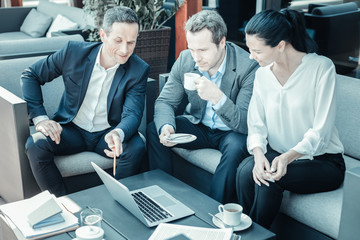 Wall Mural - Tasty tea. Attentive brunette woman expressing positivity and bowing head while looking at computer