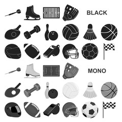 Wall Mural - Different kinds of sports black icons in set collection for design. Sport equipment vector symbol stock web illustration.