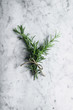 © The Picture Pantry - Rosemary bunch tied with twine on marble background