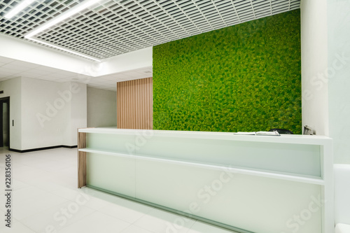 Fotomural Russia, Novosibirsk - August 16, 2018: decorative moss for interior decoration