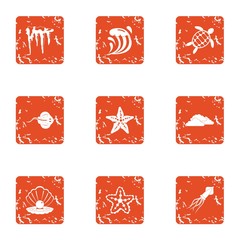 Poster - Starfish icons set. Grunge set of 9 starfish vector icons for web isolated on white background