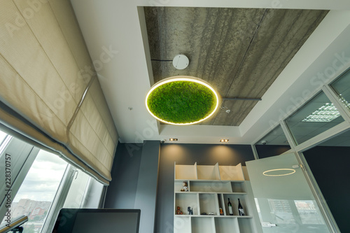 Cuadros en Lienzo Russia, Novosibirsk - August 28, 2018: decorative moss for interior decoration