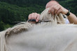 Man cutting horsehair to a horse.