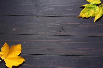 Canvas Print - Autumn leaves on a black background copy space