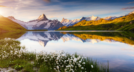 Poster - Great view of Bernese range above Bachalpsee lake. Location Swiss alps, Grindelwald valley.