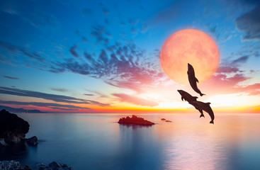 Silhoutte of beautiful dolphin jumping up from the sea at sunset with super moon 