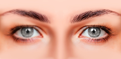 Close-up face of beautiful girl with beautiful grey eyes and big pretty eyelashes