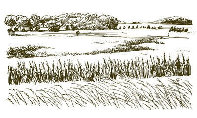 Rural landscape. Hand drawn illustration.