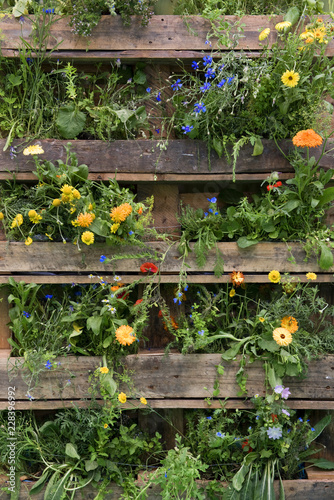 Vertikaler Garten Holz Wandgarten Buy This Stock Photo And Explore Similar Images At Adobe Stock Adobe Stock