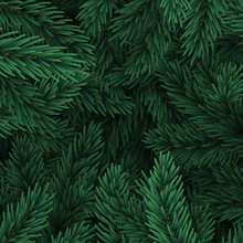 Christmas Tree Branches. Festive Xmas Border Of Green Branch Of Pine.