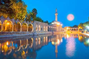 Halil-ur Rahman Mosque and Holy lake with sacred fish in Golbasi Park - Urfa, Turkey