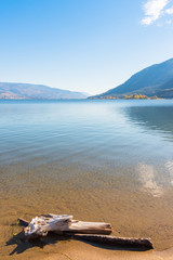 Wall Mural - Calm waters of Okanagan Lake reflecting blue sky and mountains with beach and driftwood in foreground