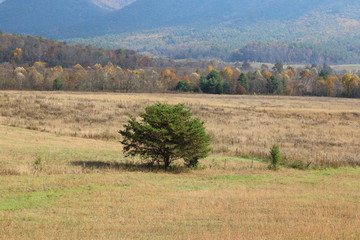 Wall Mural - a landscape view of the Blue Ridge Mountains