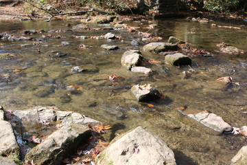 Canvas Print - the view of a shallow river