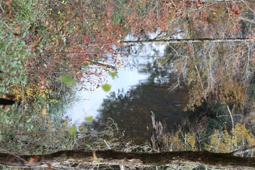 Wall Mural - a river