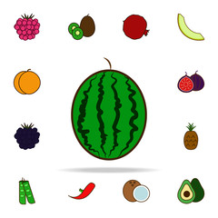 Poster - watermelon colored icon. fruit icons universal set for web and mobile