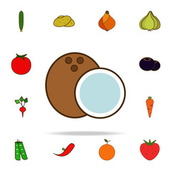 Poster - coconut colored icon. fruit icons universal set for web and mobile