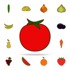 Poster - a tomato colored icon. fruit icons universal set for web and mobile