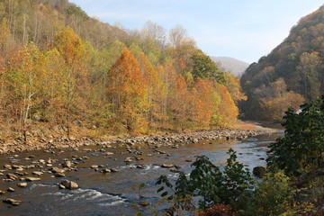 Poster - autumn river
