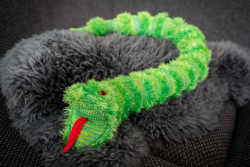 Knitted green snake on grey sheep wool