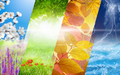 Wall Mural - four seasons of year collage. vibrant colorful images of different time of year - spring, summer, fa