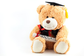 teddy bear with graduation attire on white background.education concept