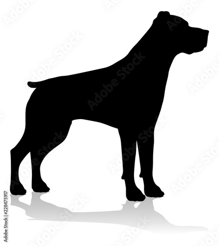 A detailed animal silhouett...